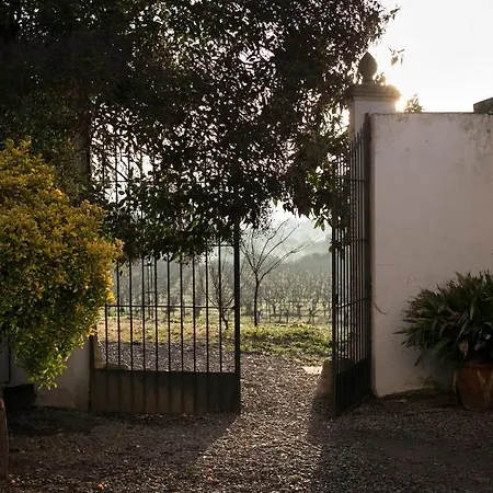 Villa Mas Palou *